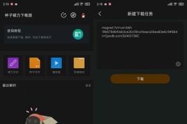 种子磁力下载器 v1.5.6 安卓绿化版