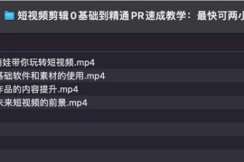 短视频剪辑0基础到精通PR速成教学：最快可两小时学会