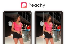 Peachy v1.080.26(26) 安卓绿化版