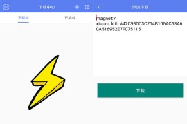 闪电磁力 v1.1.0 安卓绿化版