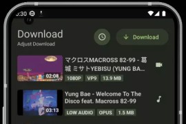 YTDLnis v1.8.1.1 安卓版