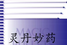 Magic Bullets 灵丹妙药