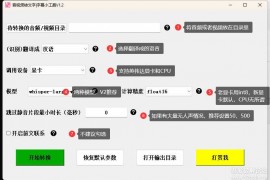 音视频转文字/字幕小工具、视频翻译配音，不再为生肉而烦恼！