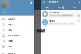 Telegram v10.13.4 安卓绿化版