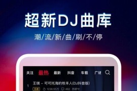 DJ秀 v4.7.7.0 安卓绿化版