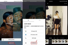 VSCO v399 安卓绿化版