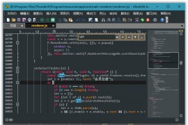 代码文本编辑器-UltraEdit 完美破解版
