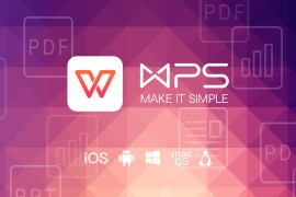 Office软件 WPS 专业版激活码/密钥