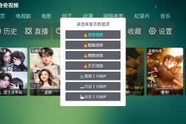 野火聚合 v6.0.6 TV版