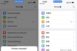 Telegram 电报中文汉化 简体中文语言包