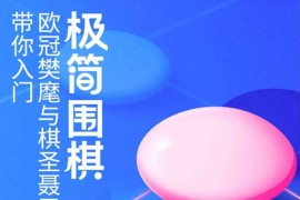 极简围棋课 棋圣带你入门完结