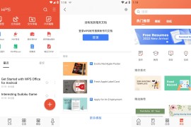 WPS Office v18.10 安卓绿化版