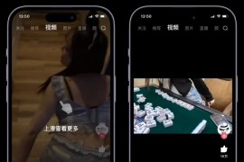 皮皮虾 4.9.7 图层助手