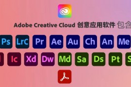 Adobe2024全家桶大师赢政天下版，一键安装永久激活！