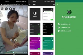 XPlayer v2.3.8.0(238003)  安卓绿化版