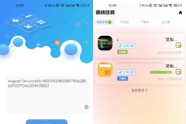 小白下载App_v3.6，支持全平台、离线下载到软件自带网盘！