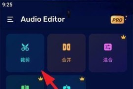 Audio Editor v1.01.57.0821(10104) 安卓绿化版