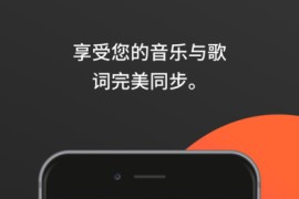 Musixmatch v7.11.1 安卓绿化版