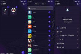 Android 分身有力 v1.9.5 去更新解锁高级版