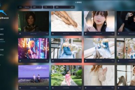 Wallhaven v4.2.3 基于wallhaven.cc壁纸管理工具