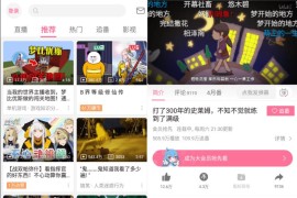 哔哩哔哩 最新 HD+手机+概念+play 安卓绿化版