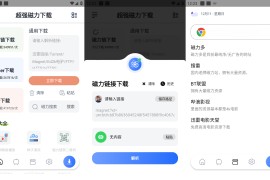 超强磁力下载 v1.2.8(29) 安卓绿化版