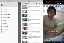 MX Player MX播放器 v1.86.0 安卓绿化版