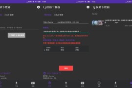 Lj视频下载器 v1.1.50 安卓绿化版