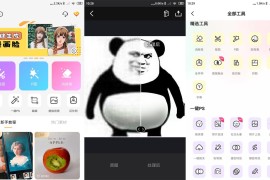 大神P图 v6.6.1.0-CN 安卓绿化版