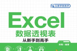 Excel数据透视表从新手到高手