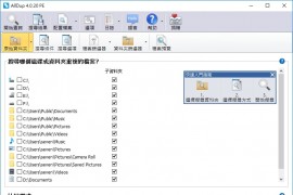 AllDup v4.5.58 绿色便携版 重复文件查找工具