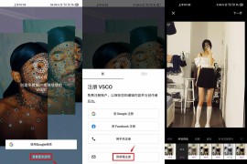 VSCO v365.0.0 iOS绿化版