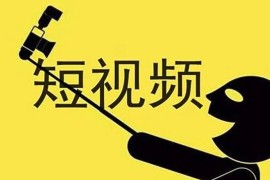 短视频运营教程，新人主播涨粉秘籍，从0带你短视频入门到变现