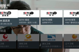 我的电视 v2.0.9 TV版