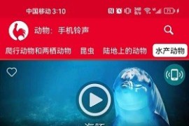 动物：手机铃声 v18.1 安卓绿化版