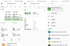 DevCheck v5.37 安卓绿化版