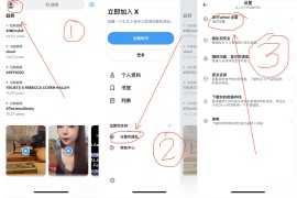 Twitter X v10.66 iOS绿化版