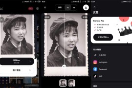 模糊人脸照片增强Remini v2.10.13 iOS绿化版