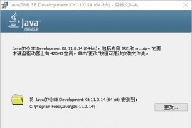 Java SE Development Kit 11(JDK)_11.0.21